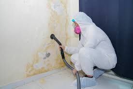 Best Black Mold Removal  in Chesterfield, MO